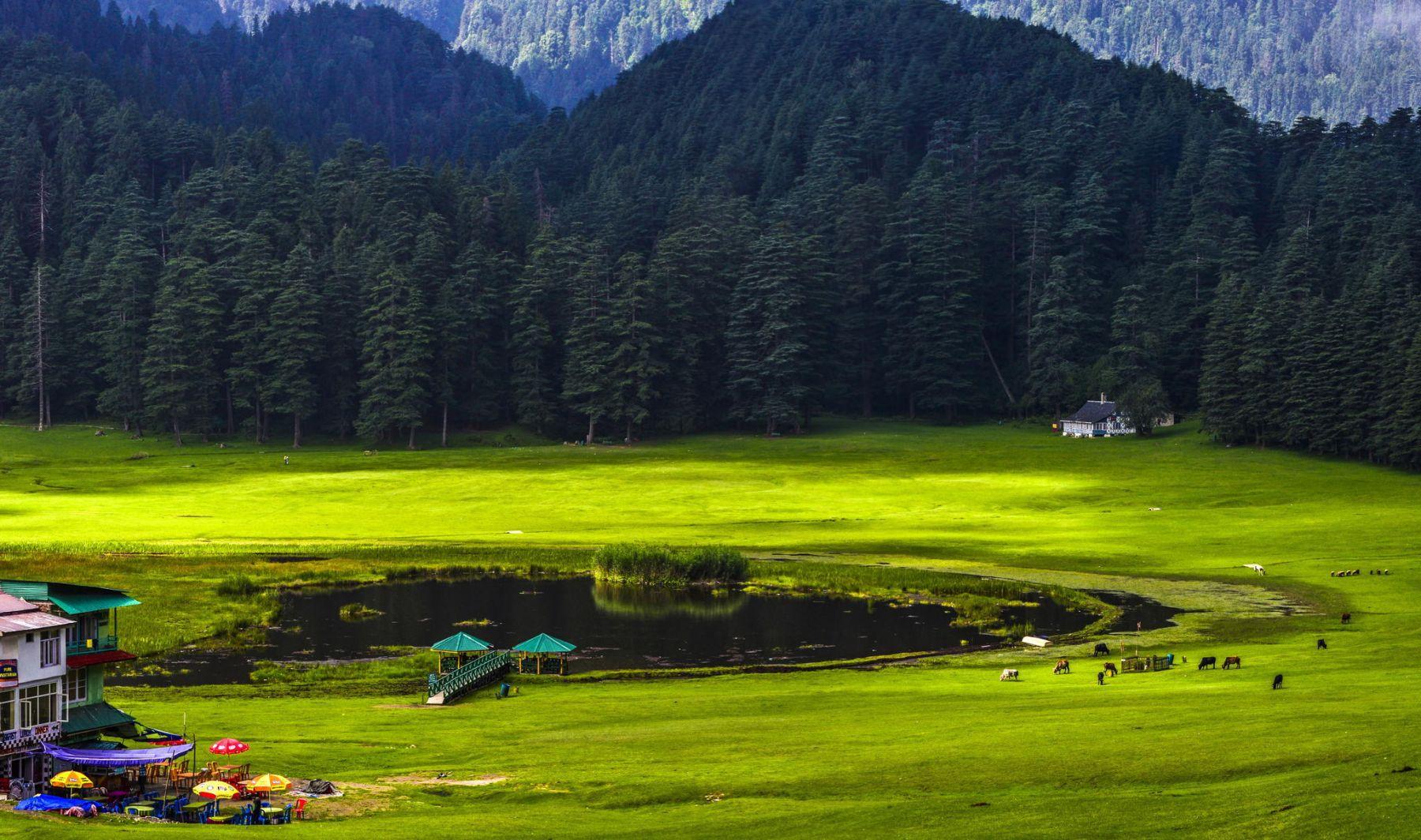 The green Khajjiar meadow ringed by deodar forest near Chamba